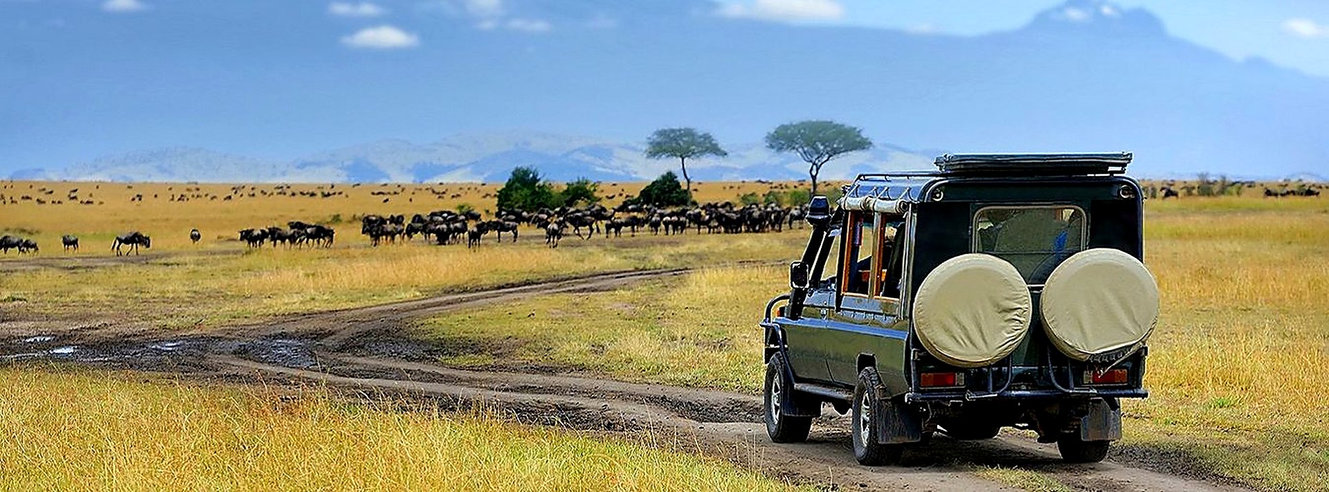 Serengeti